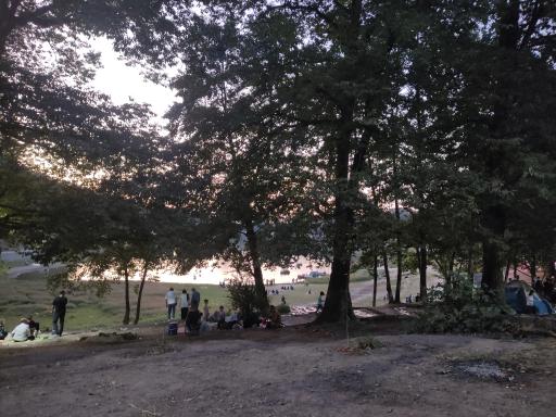 عکس پارک جنگلی عباس آباد