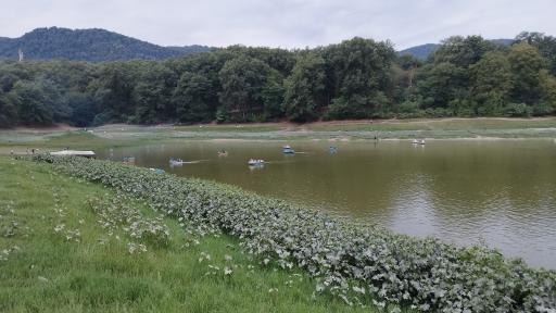 عکس پارک جنگلی عباس آباد