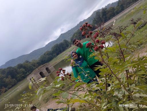 عکس پارک جنگلی عباس آباد