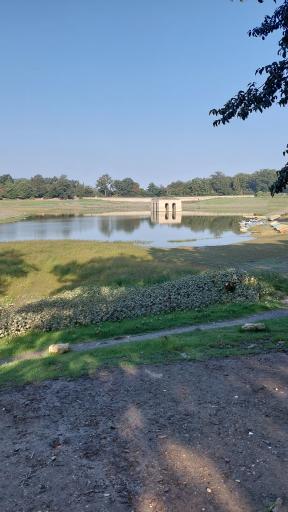 عکس پارک جنگلی عباس آباد