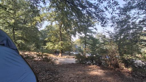 عکس پارک جنگلی عباس آباد