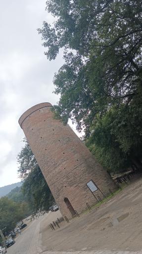 عکس پارک جنگلی عباس آباد