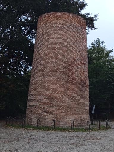 عکس پارک جنگلی عباس آباد