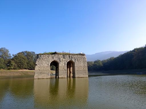 عکس پارک جنگلی عباس آباد