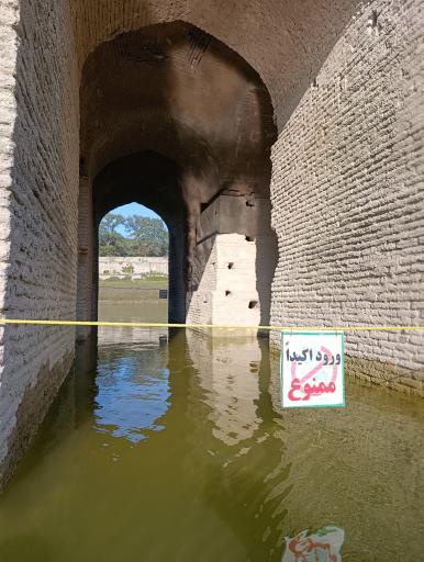 عکس پارک جنگلی عباس آباد