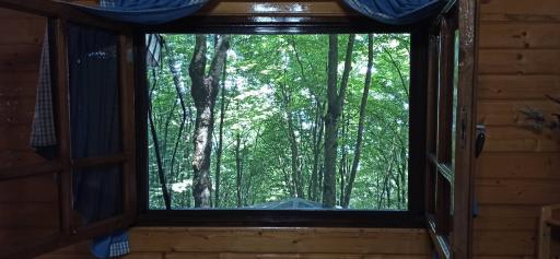 عکس وسائل ورزشی پارک