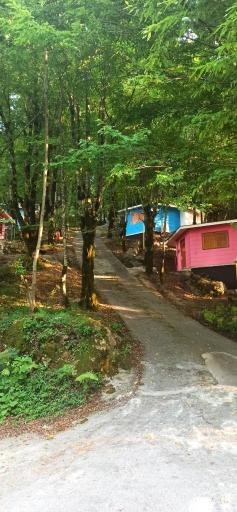 عکس وسائل ورزشی پارک