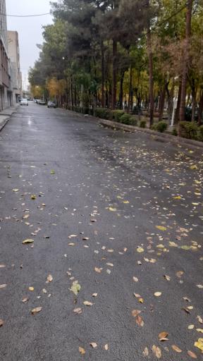 عکس پارک نارون