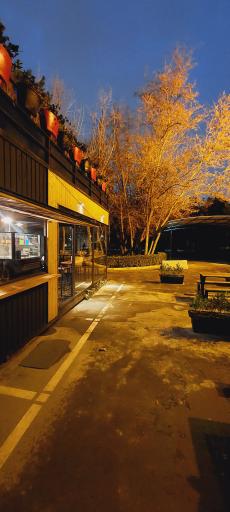 عکس کافه آمالفی (شعبه دانشگاه فردوسی)