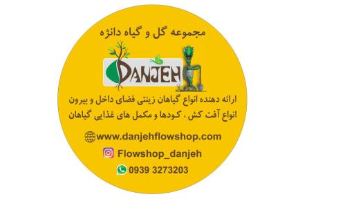 عکس گل و گیاه دانژه
