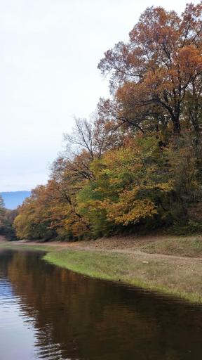 عکس پارک جنگلی عباس آباد