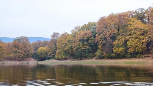 عکس پارک جنگلی عباس آباد