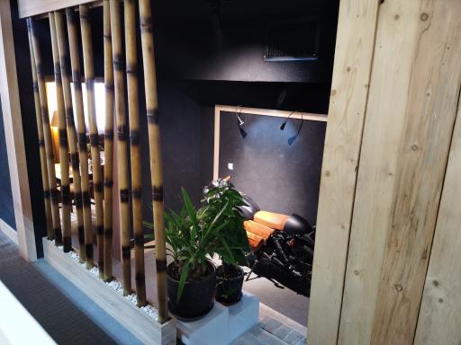 عکس کافه مافه