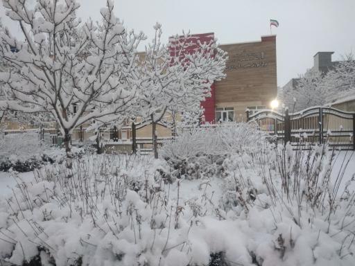 عکس دانشکده علمی کاربردی سقز