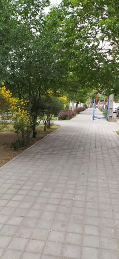 عکس بوستان آموزگار