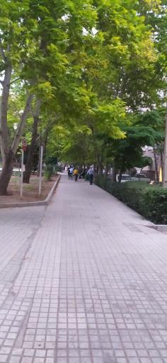 عکس بوستان آموزگار