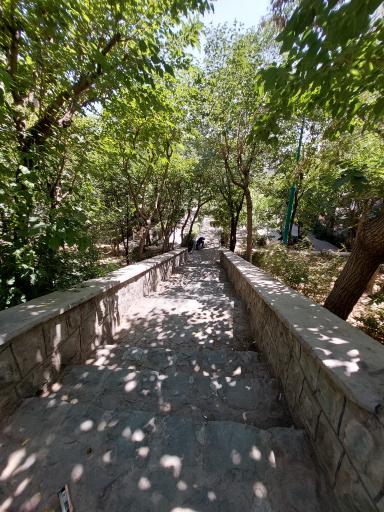 عکس بوستان دامن افشار