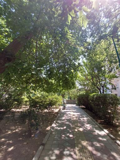 عکس بوستان دامن افشار