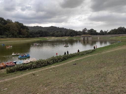 عکس پارک جنگلی عباس آباد