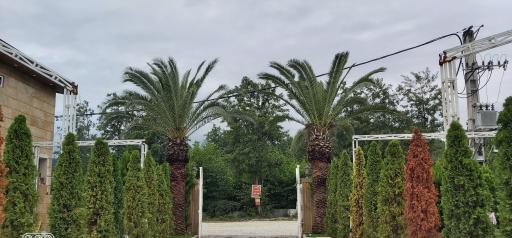 عکس تالارعروسی مرمر