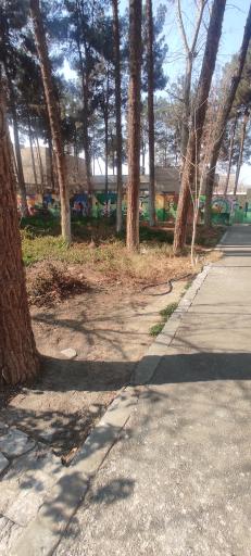 عکس دانشکده کشاورزی