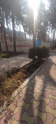 عکس دانشکده کشاورزی