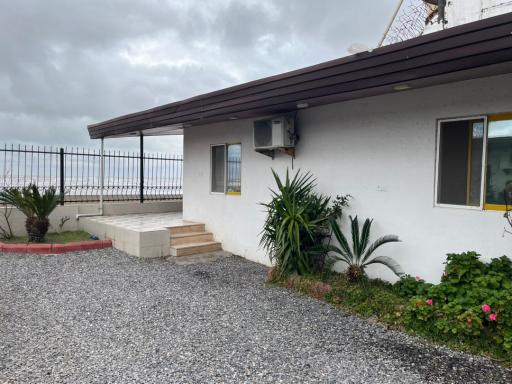 متل افق طلایی