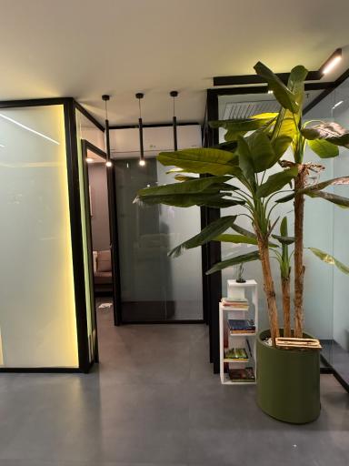 دکتر امیرعلی ترابی جراح دندانپزشک