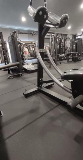 عکس باشگاه شهرزاد