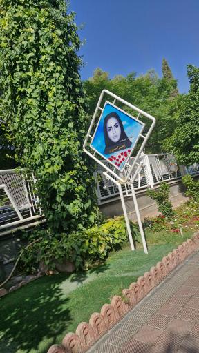 عکس دانشگاه علوم پزشکی شیراز