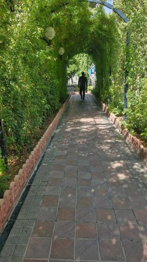 عکس دانشگاه علوم پزشکی شیراز