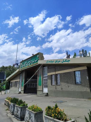 عکس سازمان جنگل ها مراتع و آبخیزداری کشور