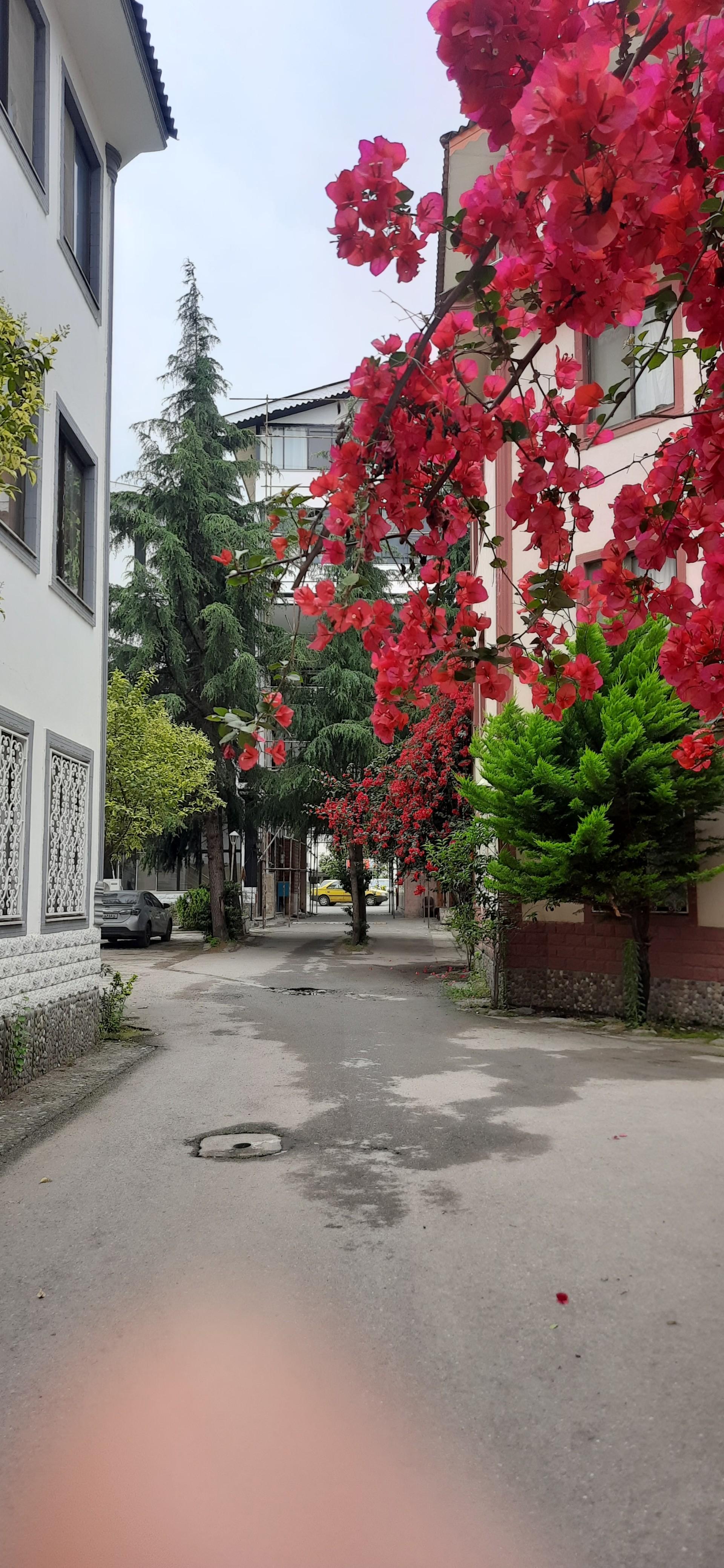 عکس هتل آپارتمان پارادایس
