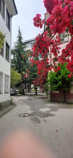 عکس هتل آپارتمان پارادایس