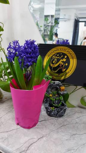 عکس سالن زیبایی نازنین عزت پناه 