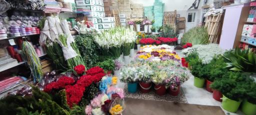 عکس پخش گل و گلفروشی حاتم یار