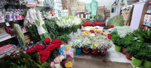 عکس پخش گل و گلفروشی حاتم یار