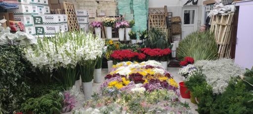 عکس پخش گل و گلفروشی حاتم یار