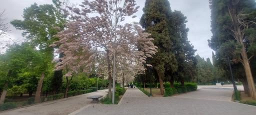 عکس باغ ملی شیراز