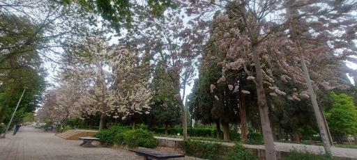 عکس باغ ملی شیراز