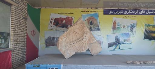 عکس موزه فسیل 25میلیون ساله