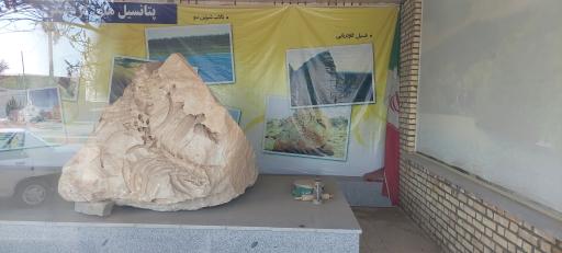 عکس موزه فسیل 25میلیون ساله