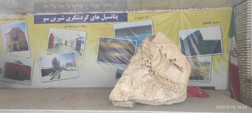 عکس موزه فسیل 25میلیون ساله