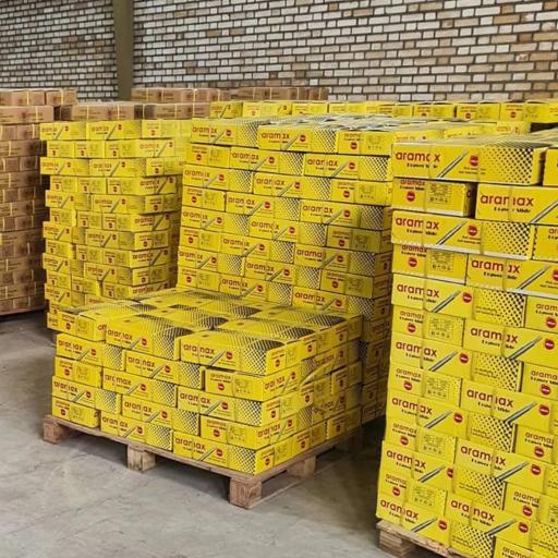 عکس یراق طاهر