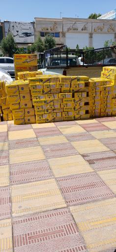 عکس یراق طاهر