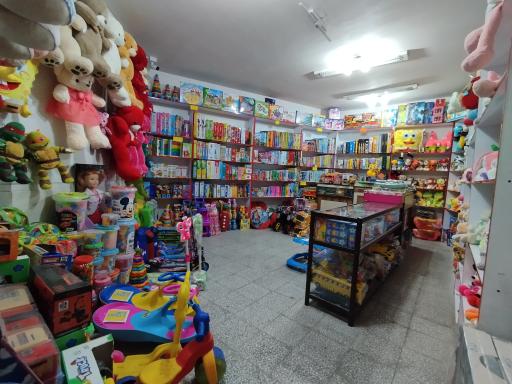 عکس اسباب بازی پاسارگاد