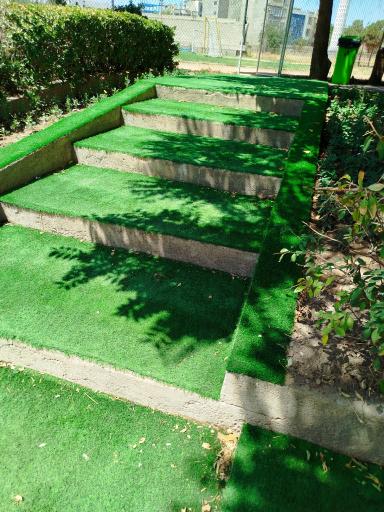 عکس زمین چمن علوم پزشکی مشهد