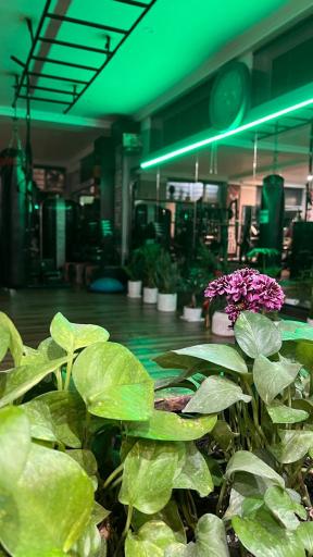 عکس باشگاه ورزشی رویان فیت