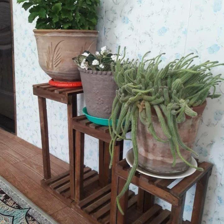 عکس تولیدی استند چوبی میلاد 