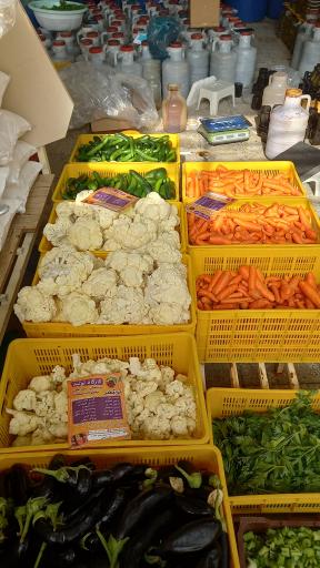 عکس ترشمز (شعبه یک)